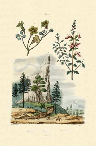 Jeoloji, 1833-39 by French School